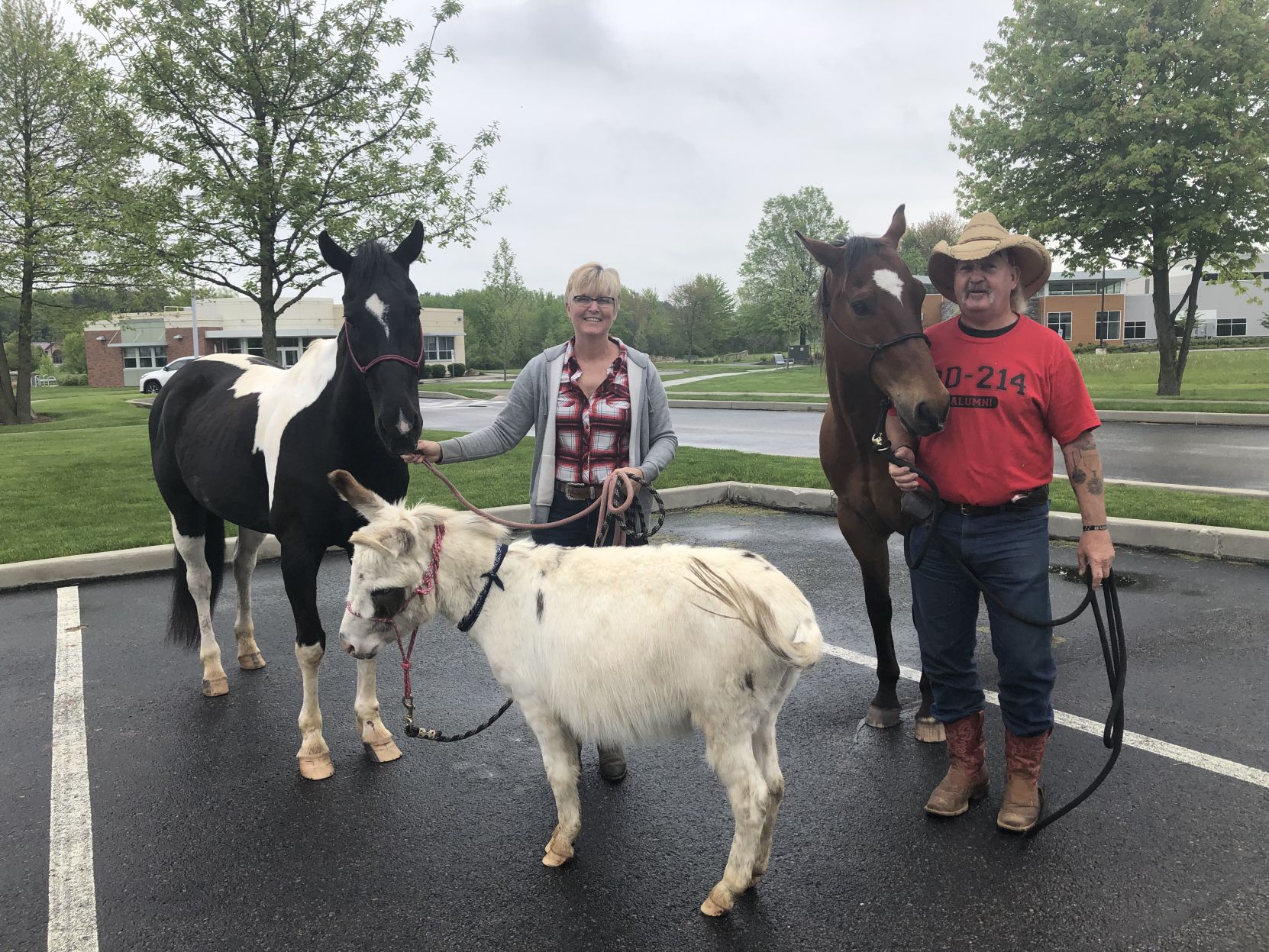 Horses
